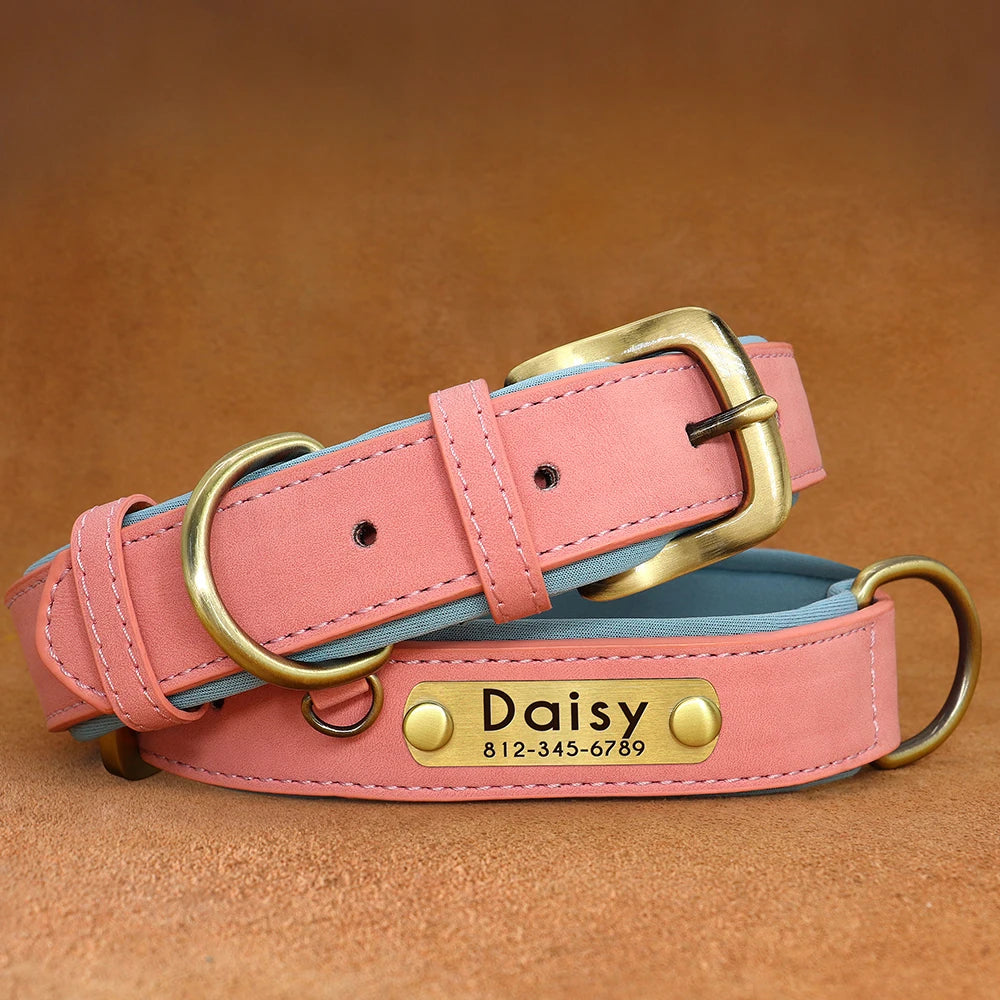 Personalized PU Leather Dog Collar – Custom Name Engraved, Soft Padded | XS–XL