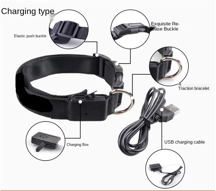 LED Glow Dog Collar | USB Rechargeable Night Safety Collar for Dogs & Cats
