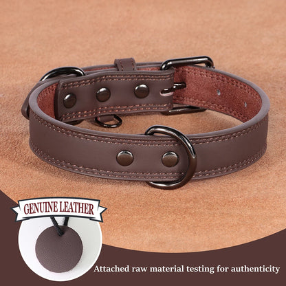 Genuine Leather Dog Collar – Soft, Durable & Built to Last | S–XL