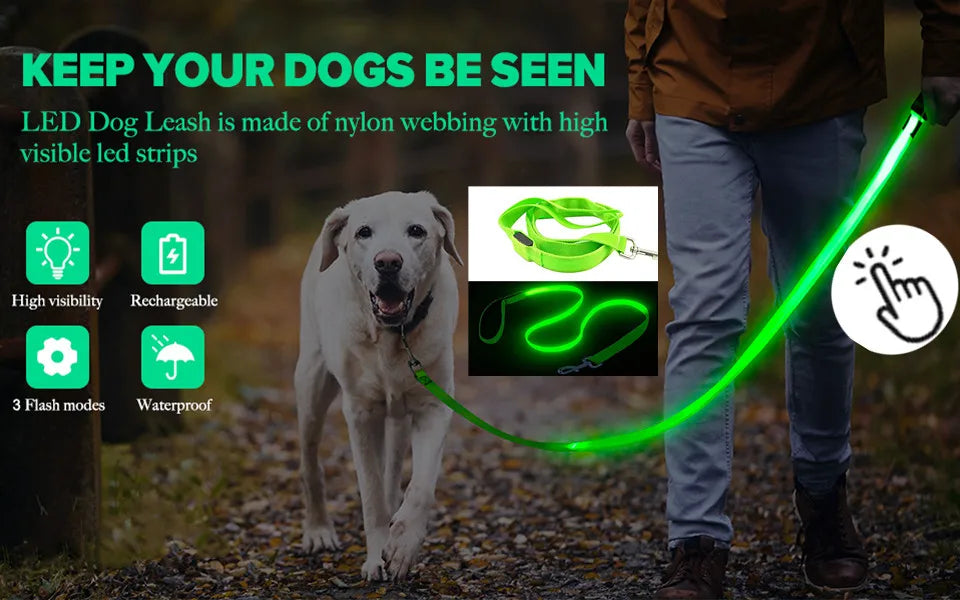 LED Glow Dog Collar | USB Rechargeable Night Safety Collar for Dogs & Cats
