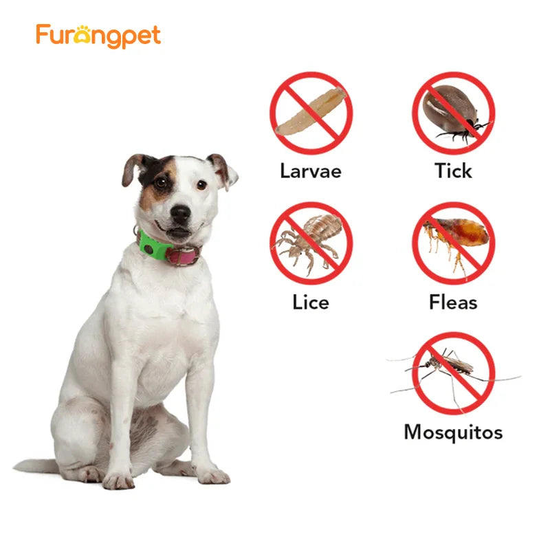 Natural Flea & Tick Repellent Tag for Dogs & Cats | 12-Month Protection | Vet Recommended
