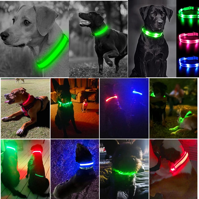 LED Glow Dog Collar | USB Rechargeable Night Safety Collar for Dogs & Cats