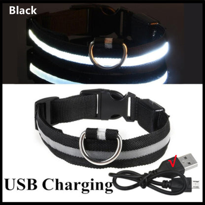 LED Glow Dog Collar | USB Rechargeable Night Safety Collar for Dogs & Cats