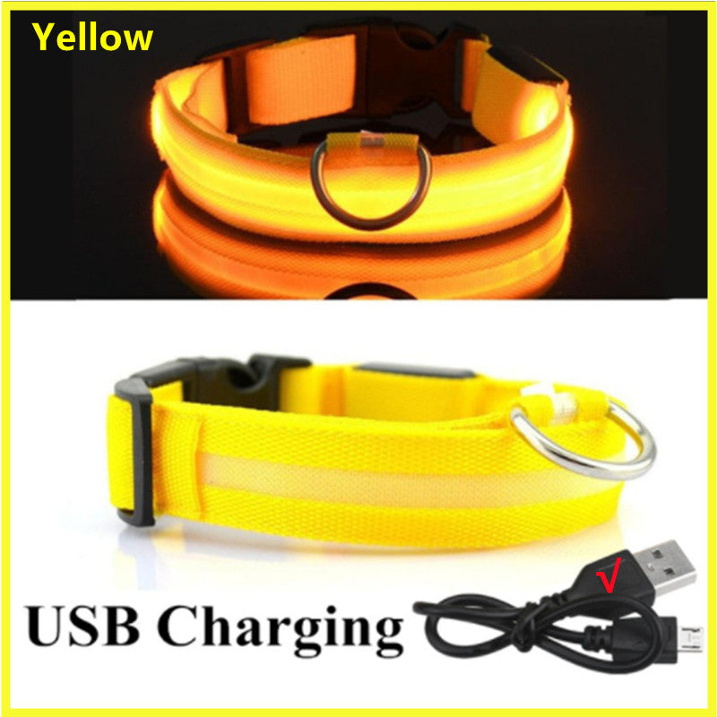 LED Glow Dog Collar | USB Rechargeable Night Safety Collar for Dogs & Cats