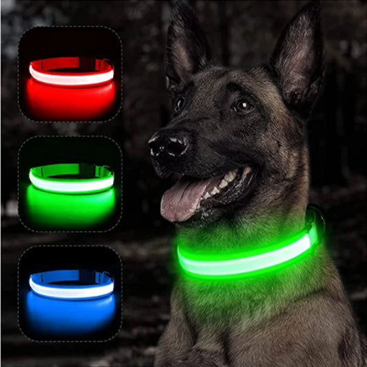 LED Glow Dog Collar | USB Rechargeable Night Safety Collar for Dogs & Cats