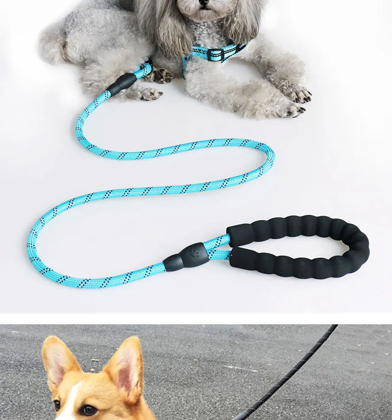 Reflective Dog Leash with Padded Foam Grip | 0.8cm–1.2cm Rope | 120–300cm