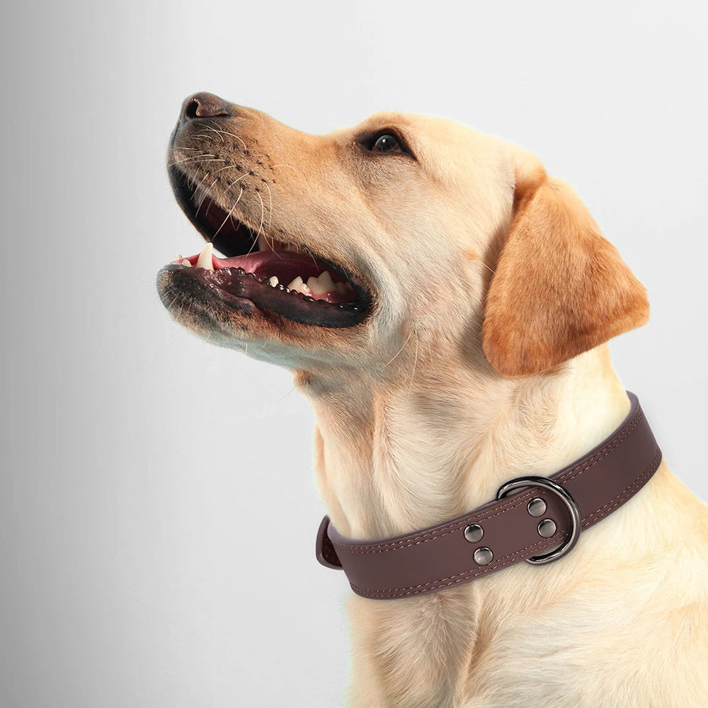 Genuine Leather Dog Collar – Soft, Durable & Built to Last | S–XL