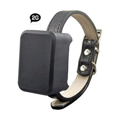 4G Pet GPS Tracker – Real-Time Cellular Location for Dogs & Cats, No Guessing, No Bluetooth Limits