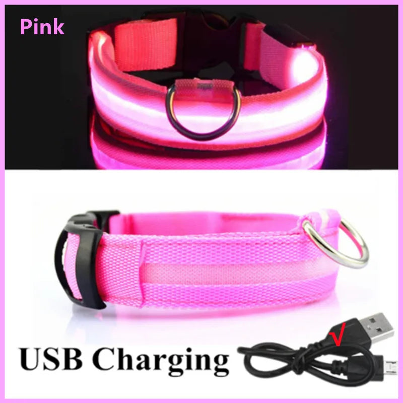 LED Glow Dog Collar | USB Rechargeable Night Safety Collar for Dogs & Cats
