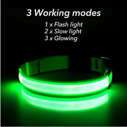 LED Glow Dog Collar | USB Rechargeable Night Safety Collar for Dogs & Cats