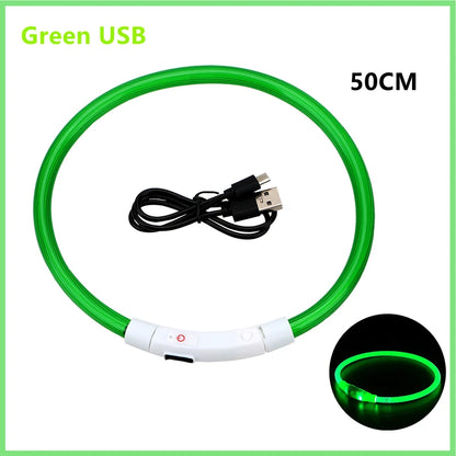 LED Glow Dog Collar | USB Rechargeable Night Safety Collar for Dogs & Cats
