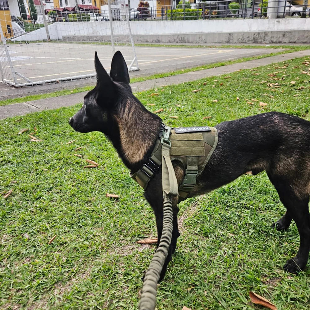 Tactical Dog Harness & Leash Set – Military-Grade Gear for Working Dogs