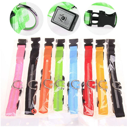 LED Glow Dog Collar | USB Rechargeable Night Safety Collar for Dogs & Cats