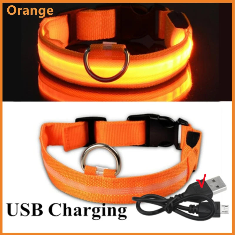LED Glow Dog Collar | USB Rechargeable Night Safety Collar for Dogs & Cats