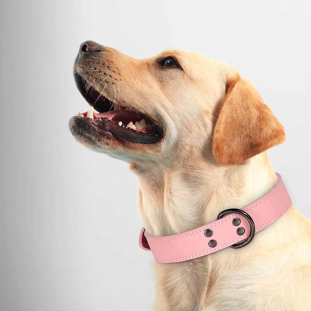 Genuine Leather Dog Collar – Soft, Durable & Built to Last | S–XL
