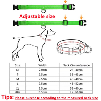 LED Glow Dog Collar | USB Rechargeable Night Safety Collar for Dogs & Cats