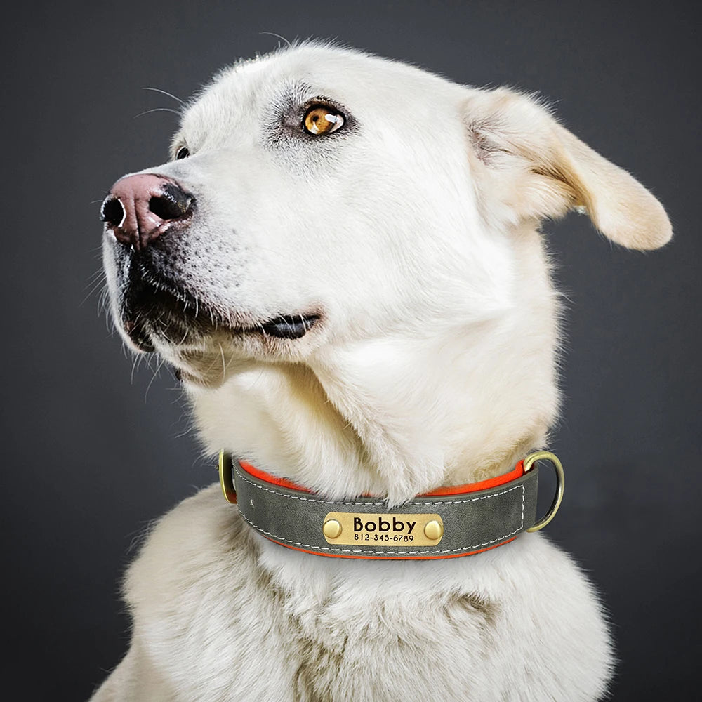 Personalized PU Leather Dog Collar – Custom Name Engraved, Soft Padded | XS–XL