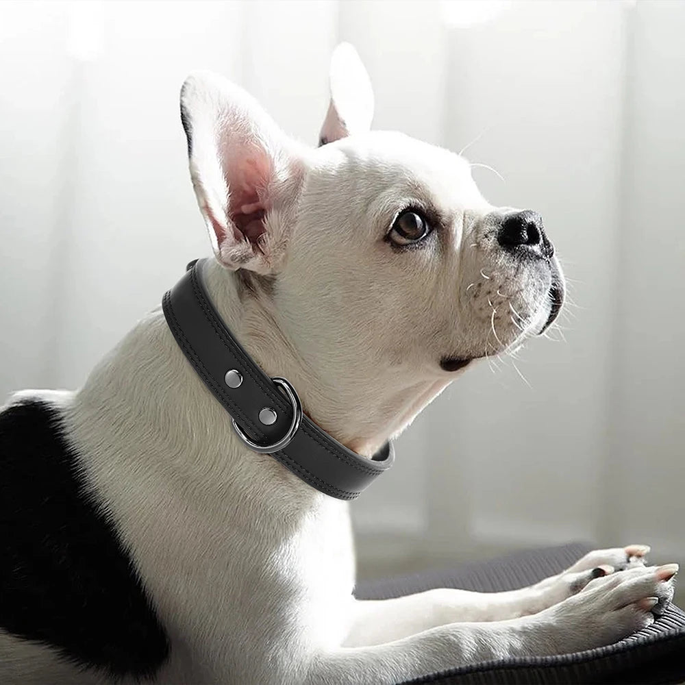 Genuine Leather Dog Collar – Soft, Durable & Built to Last | S–XL