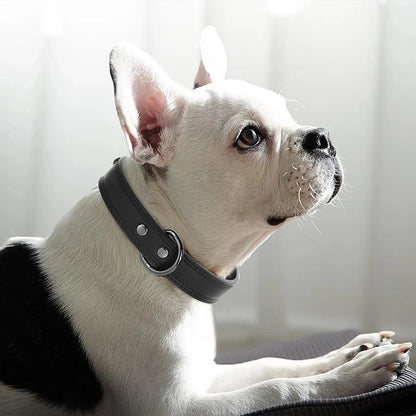 Genuine Leather Dog Collar – Soft, Durable & Built to Last | S–XL