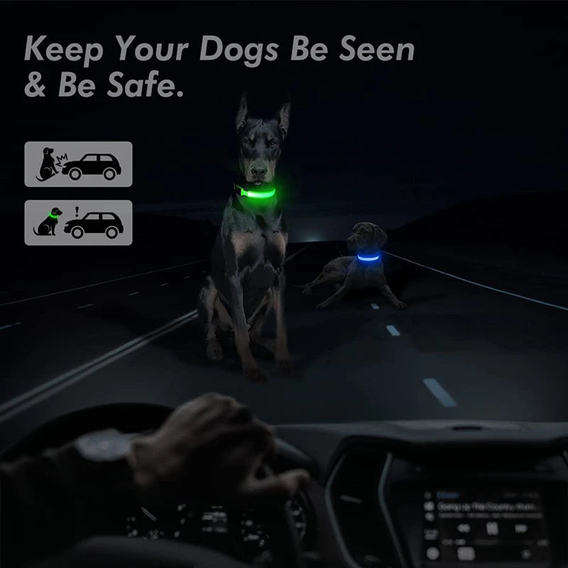 LED Glow Dog Collar | USB Rechargeable Night Safety Collar for Dogs & Cats