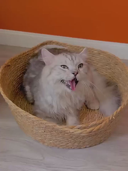 Handwoven Cat Nest Basket | 100% Cotton, Artisan-Made, All-Season