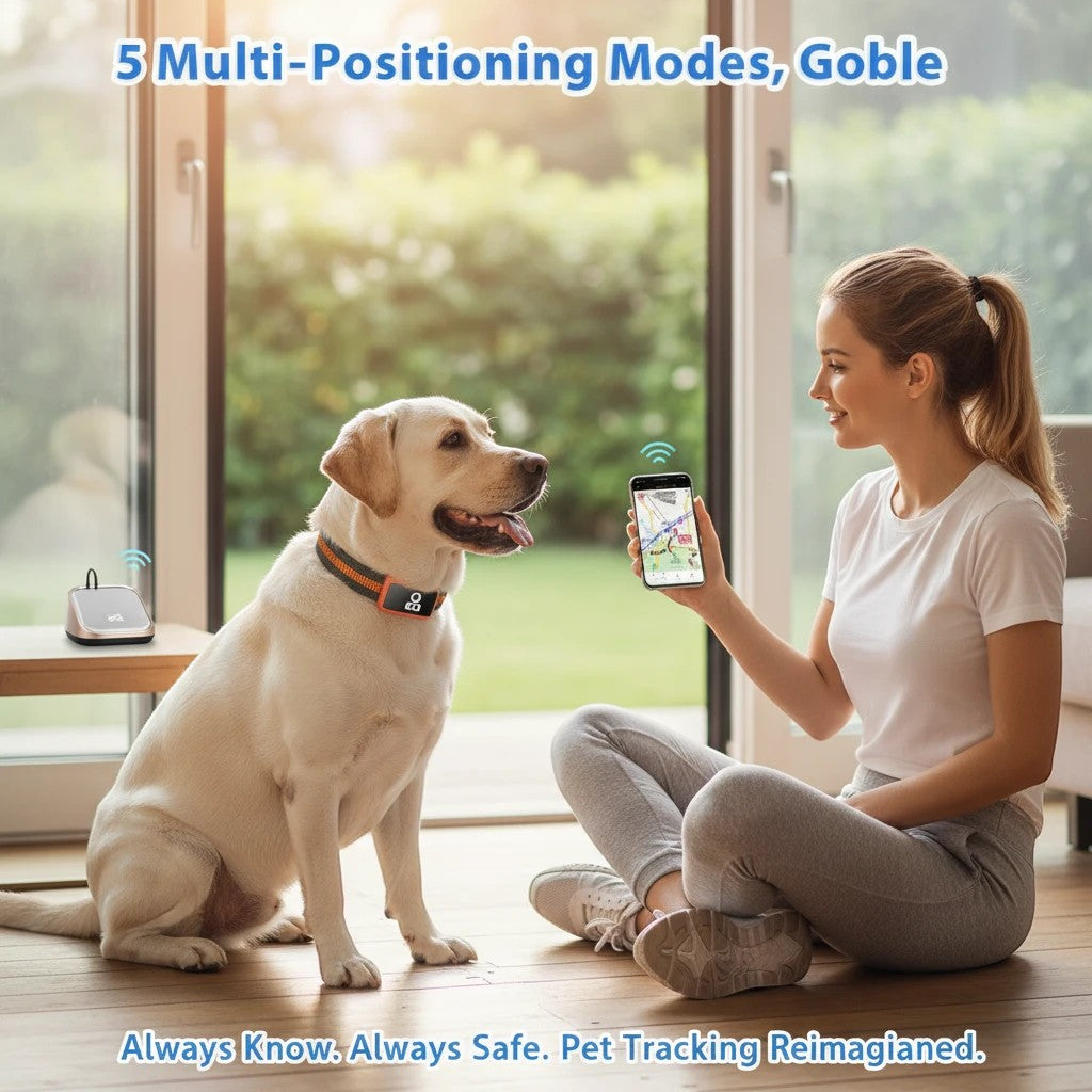 Tailwag Factory 4G GPS tracker on a dog collar with a woman using a smartphone app to monitor location