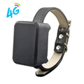 Tailwag Factory 4G GPS pet tracker attached to a black leather collar for real-time location monitoring.