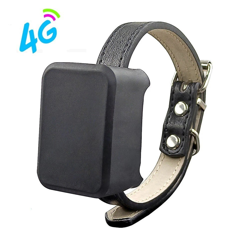 Tailwag Factory 4G GPS pet tracker attached to a black leather collar for real-time location monitoring.