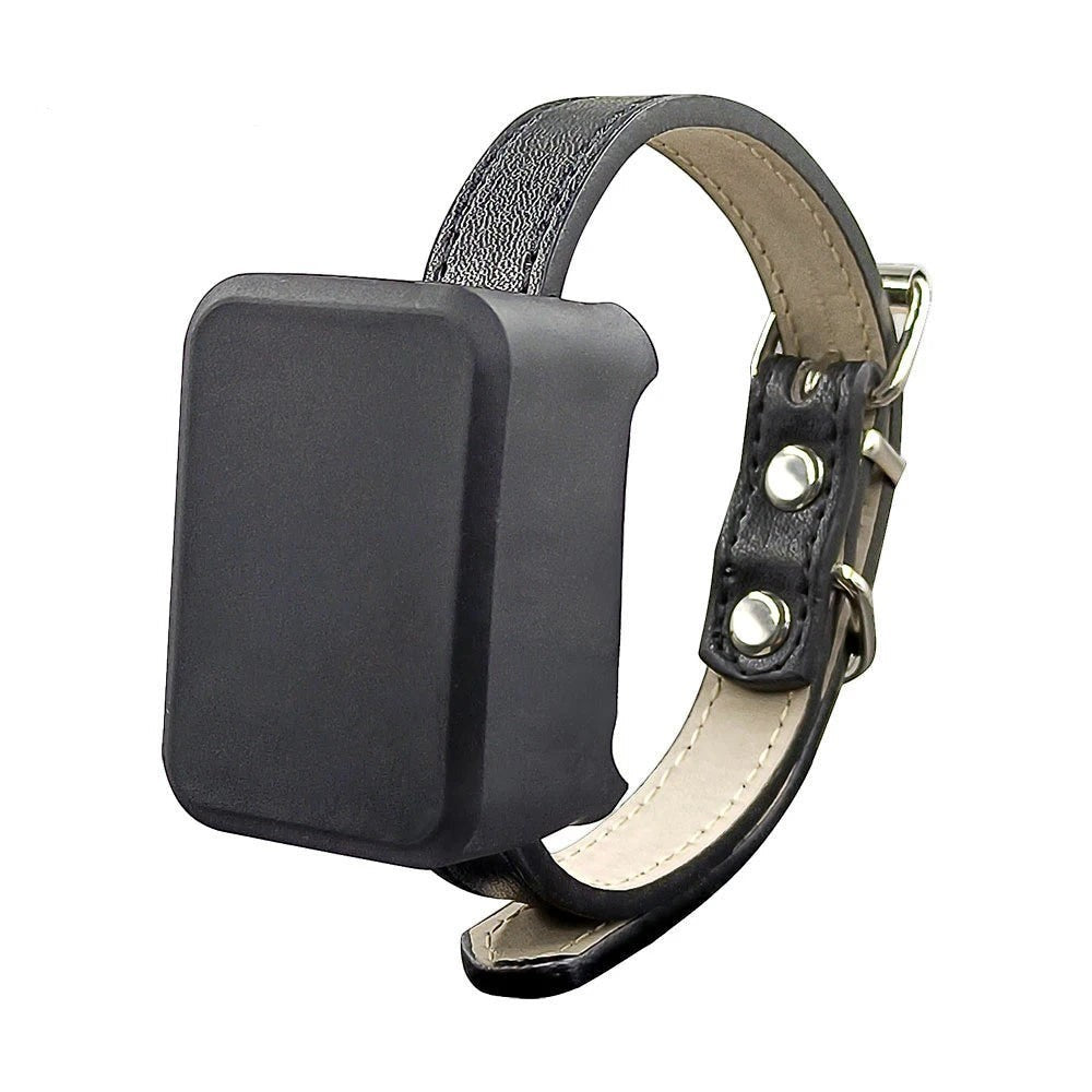 Tailwag Factory 4G GPS pet tracker in a black silicone case attached to a black leather collar for dogs and cats.