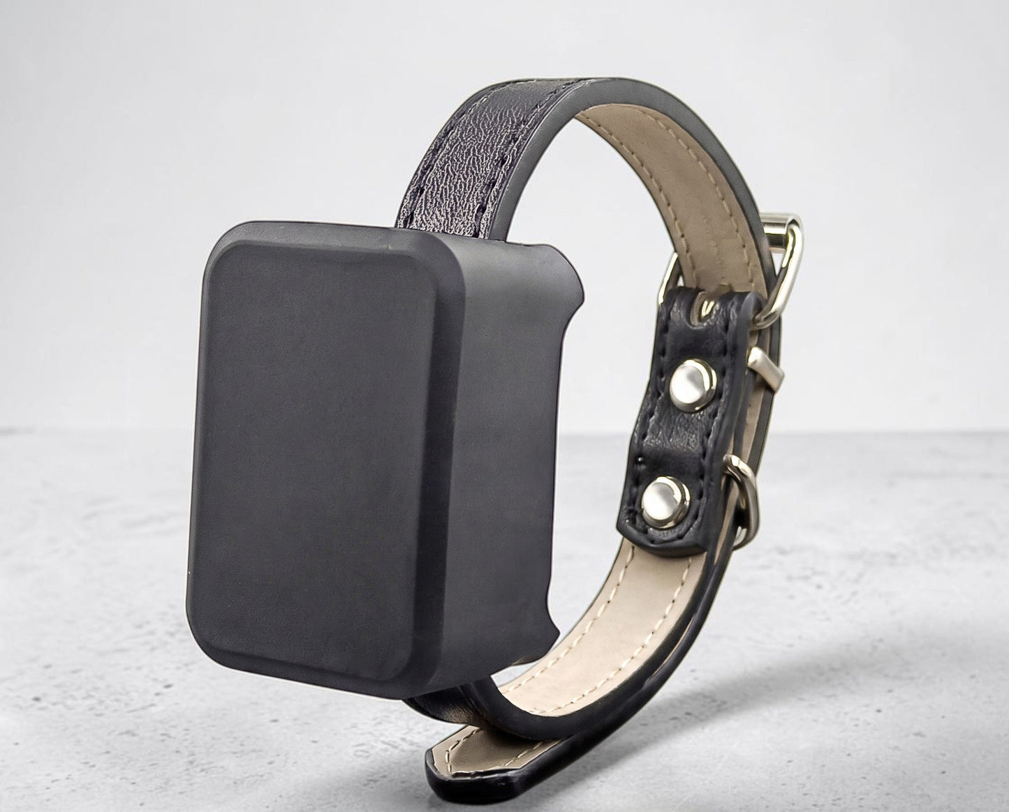 Tailwag Factory 4G GPS pet tracker attached to a black leather collar for real-time location monitoring