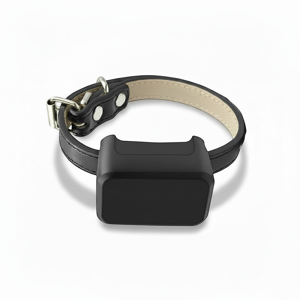 Tailwag Factory 4G GPS pet tracker attached to a sleek black leather collar for real-time location monitoring