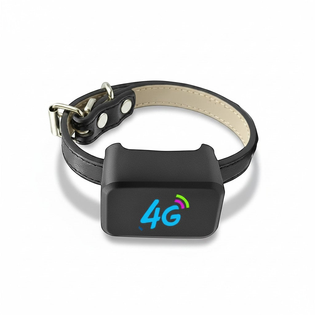Tailwag Factory 4G GPS pet tracker attached to a black leather collar for real-time location tracking of dogs and cats.
