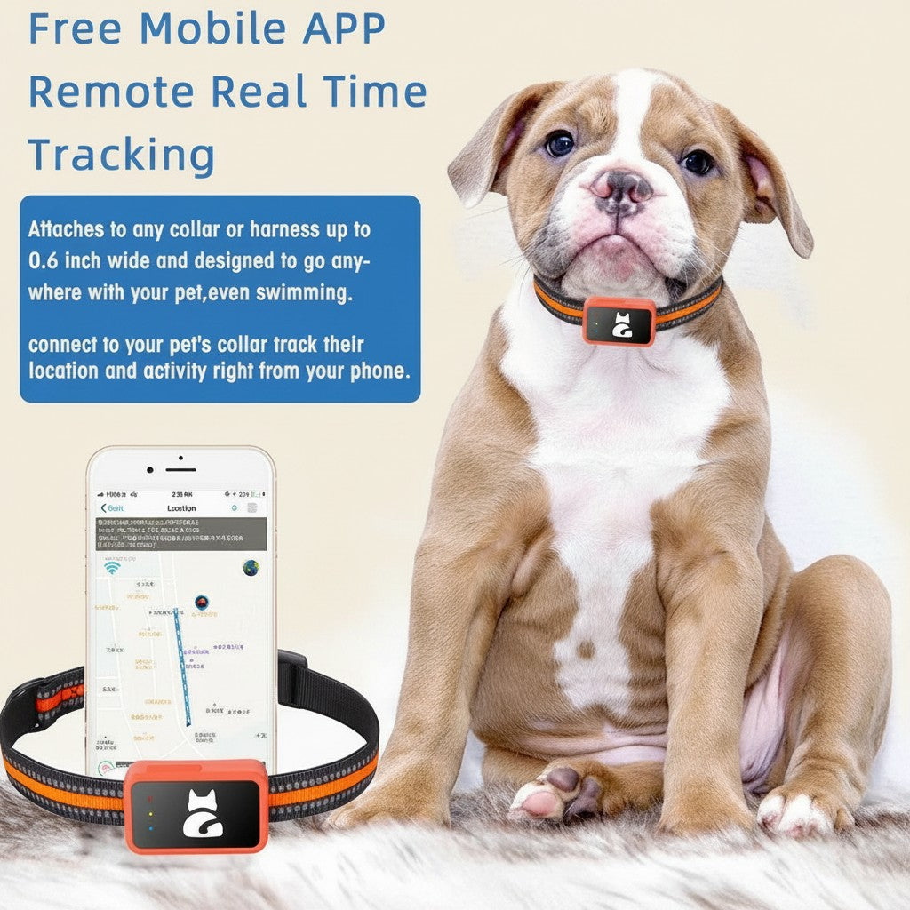 Tailwag Factory 4G smart GPS tracker on a puppy wearing a reflective collar, showing real-time mobile app tracking.