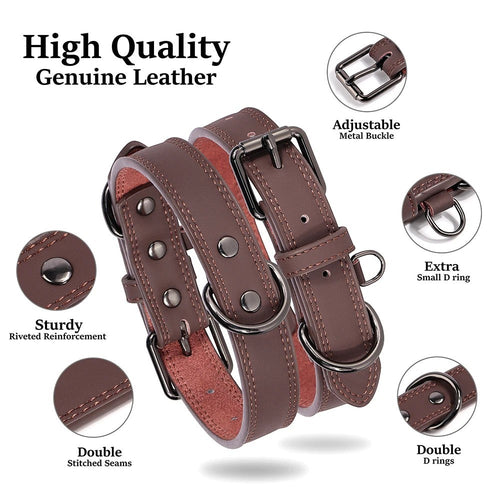 Tailwag Factory brown genuine leather dog collar with adjustable metal buckle, sturdy D-rings, and reinforced stitching