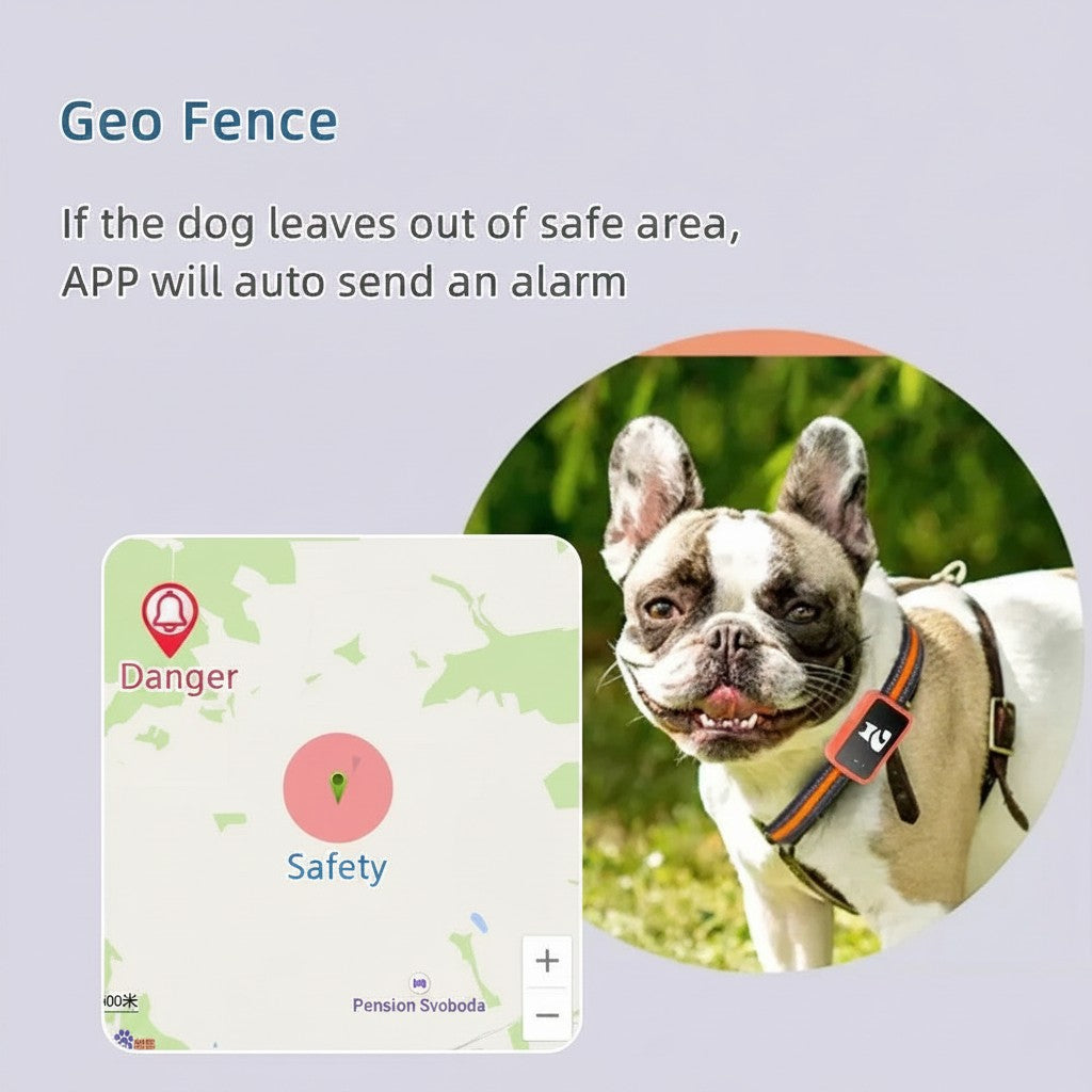 Tailwag Factory 4G GPS tracker on a French Bulldog wearing a collar, showing a geo-fence alert map on a smartphone.