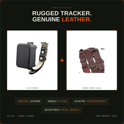Tailwag Factory 4G GPS tracker and brown genuine leather dog collar bundle with metal buckle and riveted reinforcement