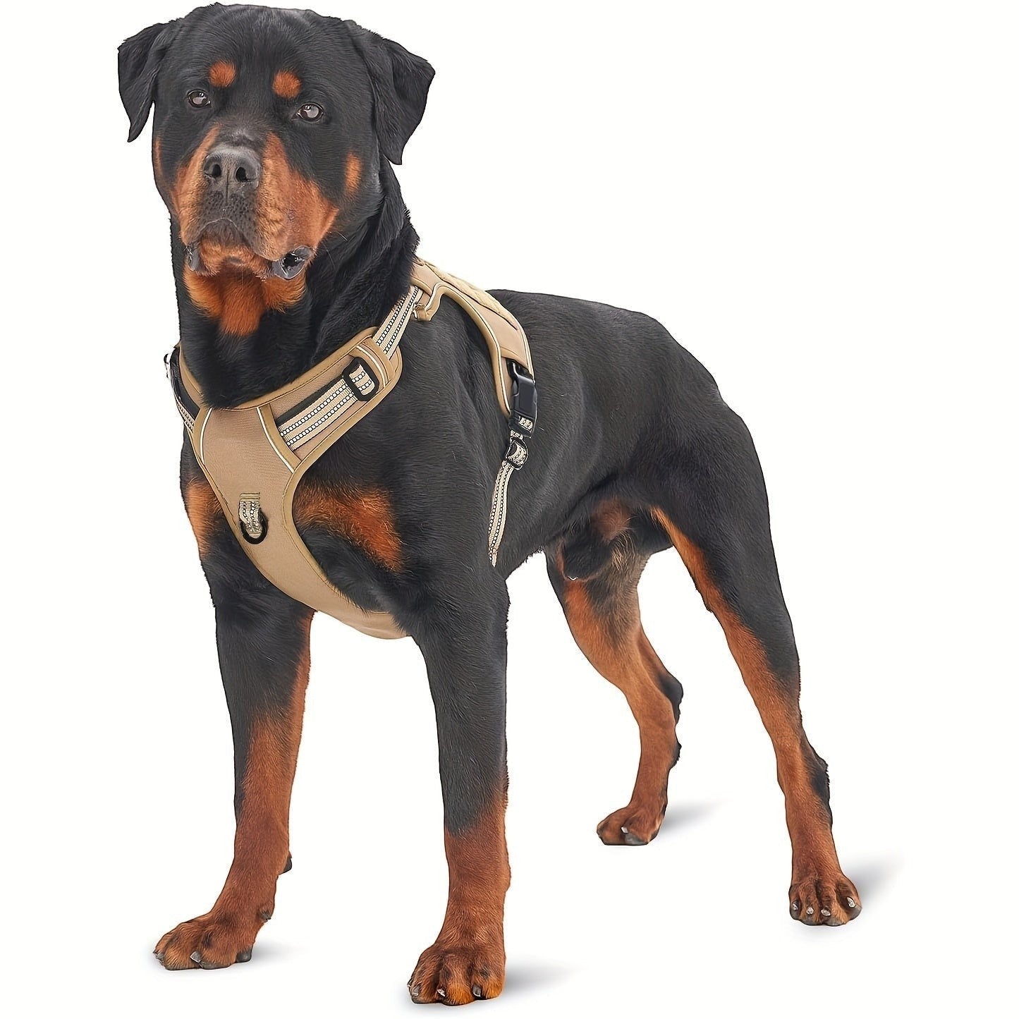 Tailwag Factory khaki tactical dog vest harness on a Rottweiler, featuring padded mesh and durable Oxford canvas.