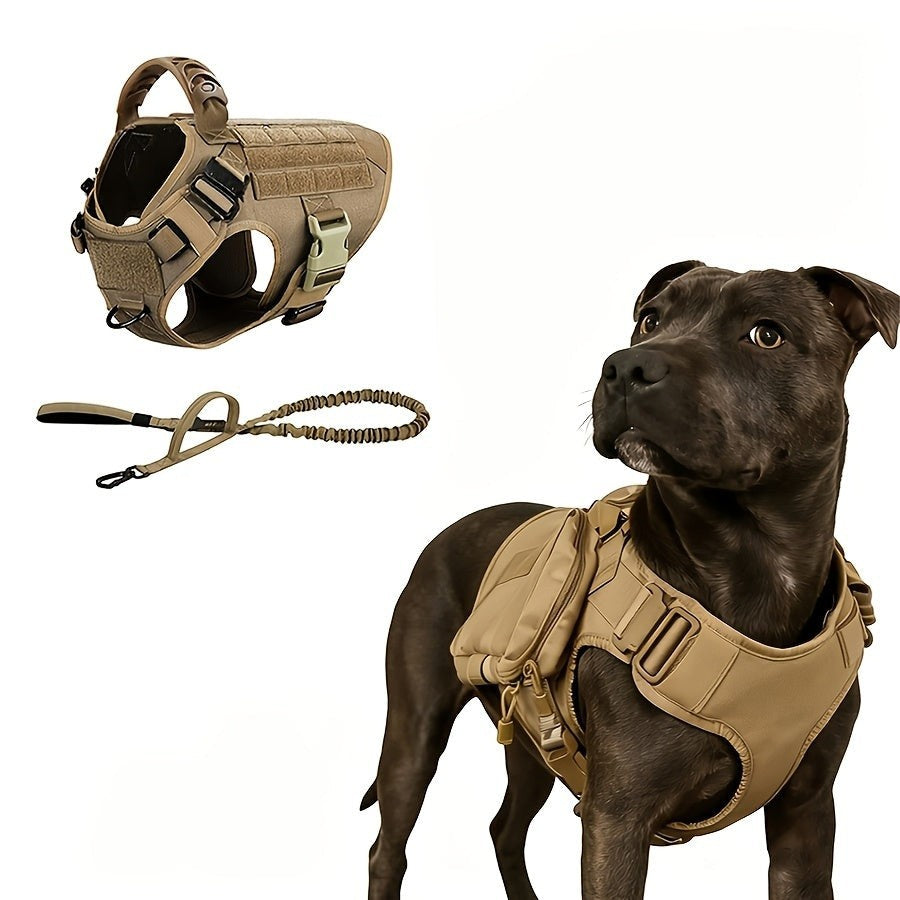 Tailwag Factory dark khaki tactical dog harness and leash set with MOLLE panels and reinforced handle on a dog